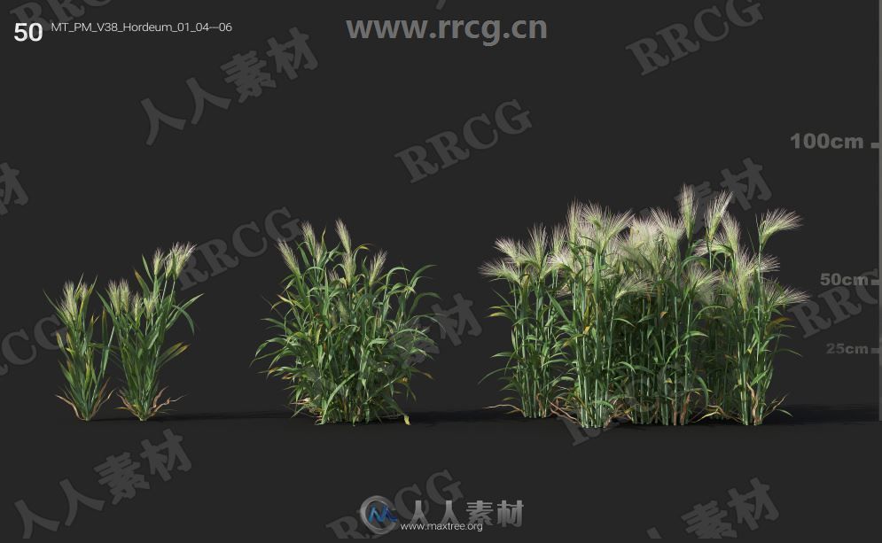 252组高精度蔬菜植物3D模型合集