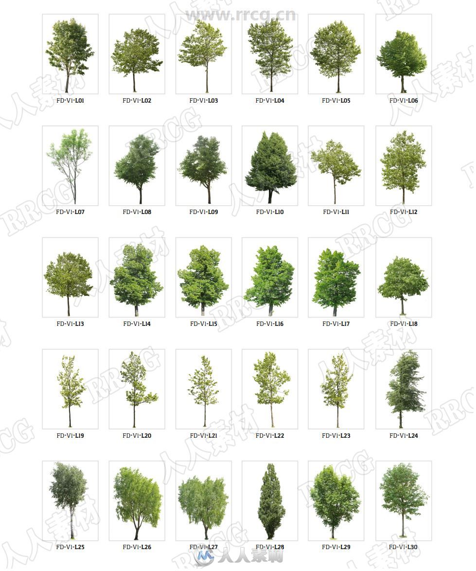 120组各类大小形状树木植物高清参考图片合集
