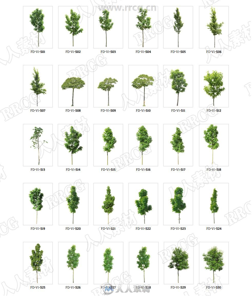 120组各类大小形状树木植物高清参考图片合集