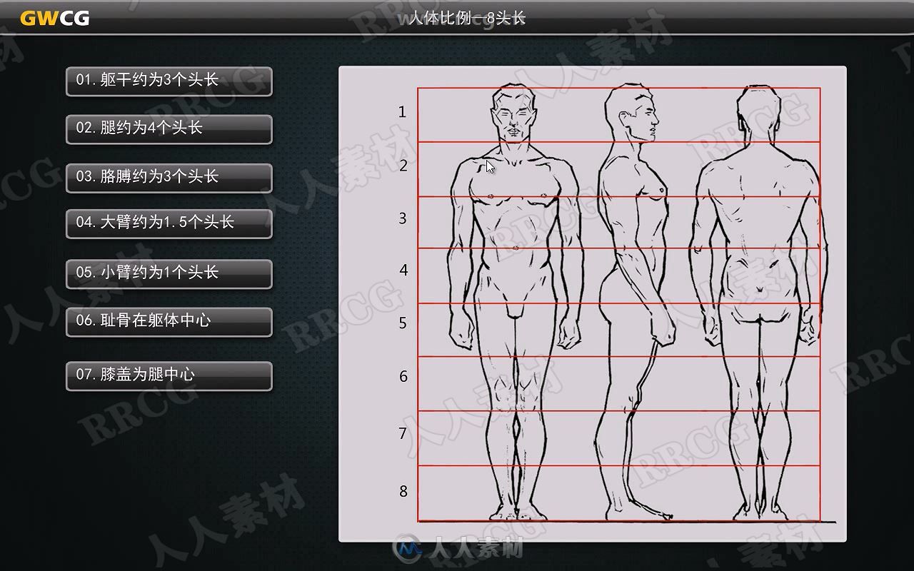 ZBrush人体肌肉结构视频教程