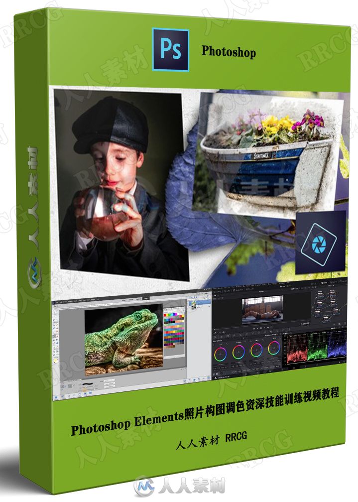 Photoshop Elements照片构图调色资深技能训练视频教程