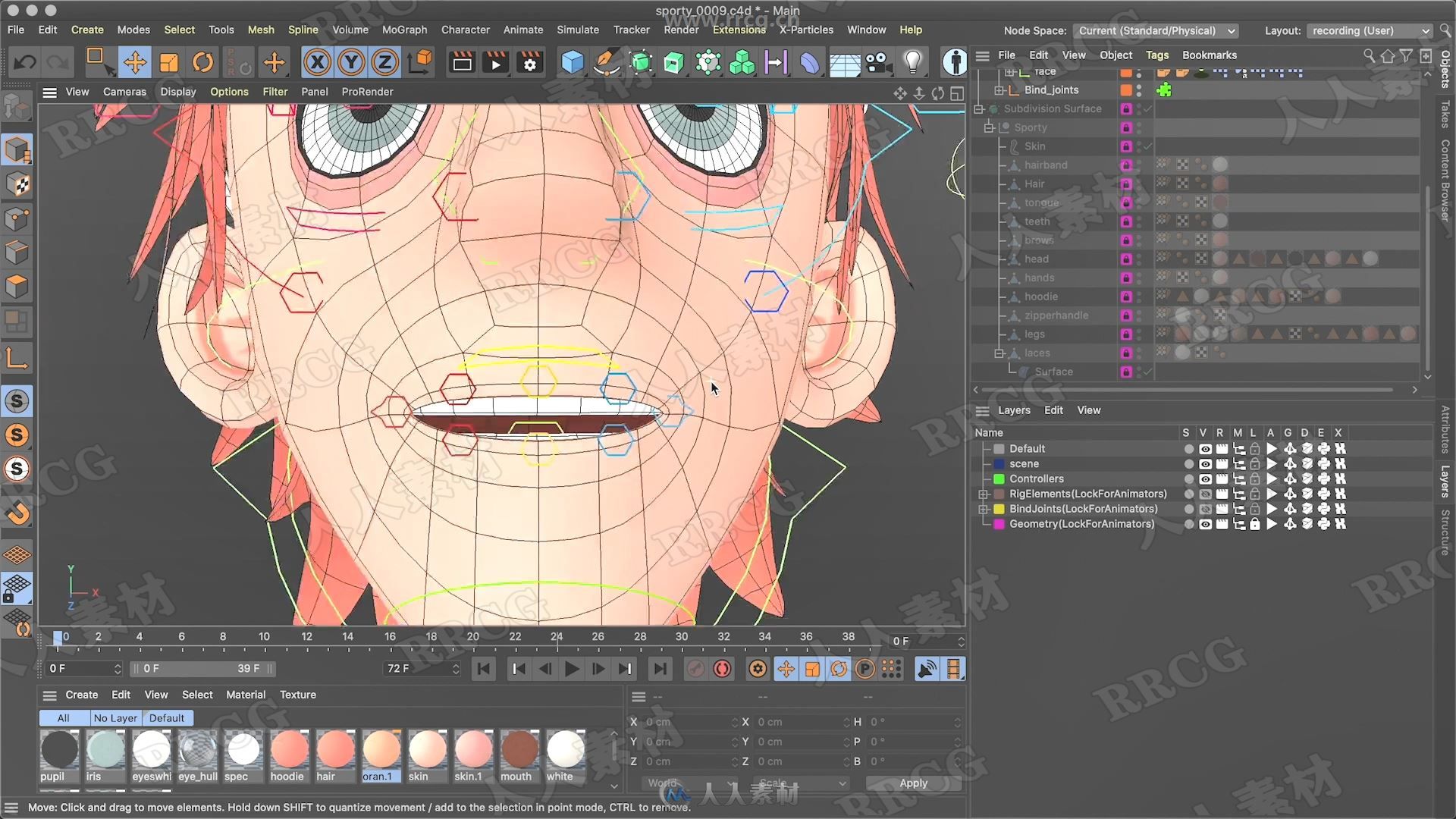 C4D中Toon rig预设实例训练视频教程