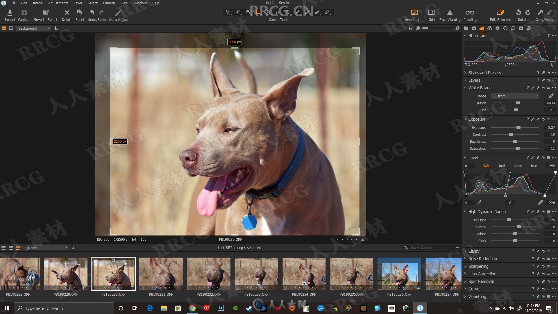 Capture One 23 Pro图像处理软件V16.0.1.20版