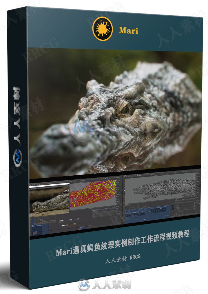 Mari逼真鳄鱼纹理实例制作工作流程视频教程