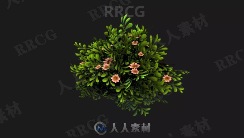 3D梦幻植被花卉个体Unity游戏素材资源