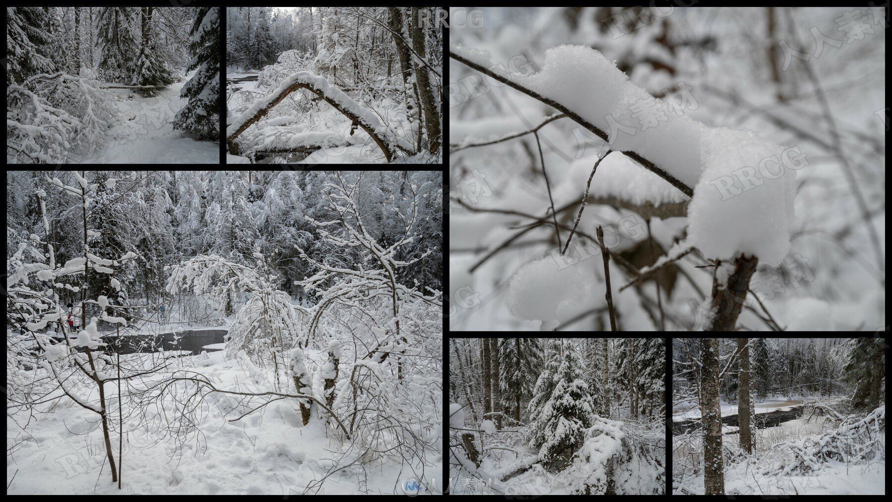 140组冬天森林树木冰雪河流小路等高清参考图片合集