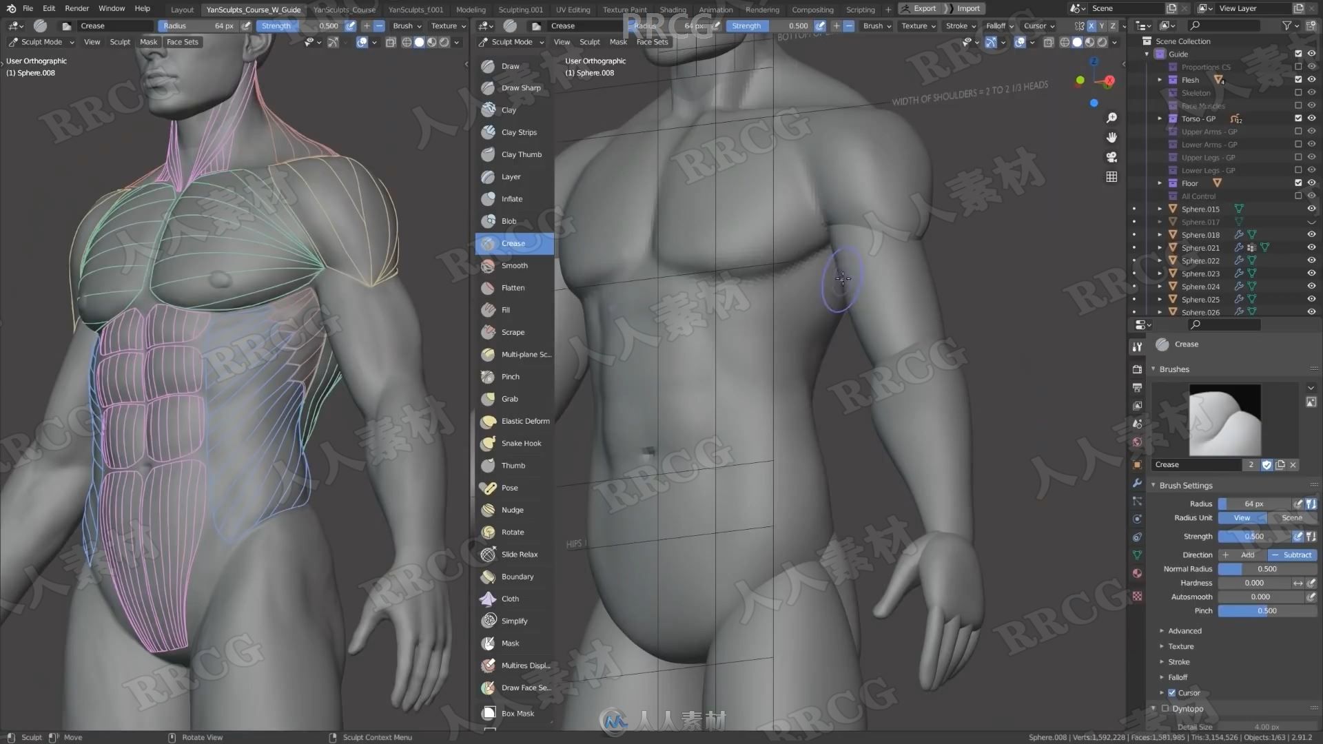 Blender男性人体解剖形态全身造型雕刻技术视频教程