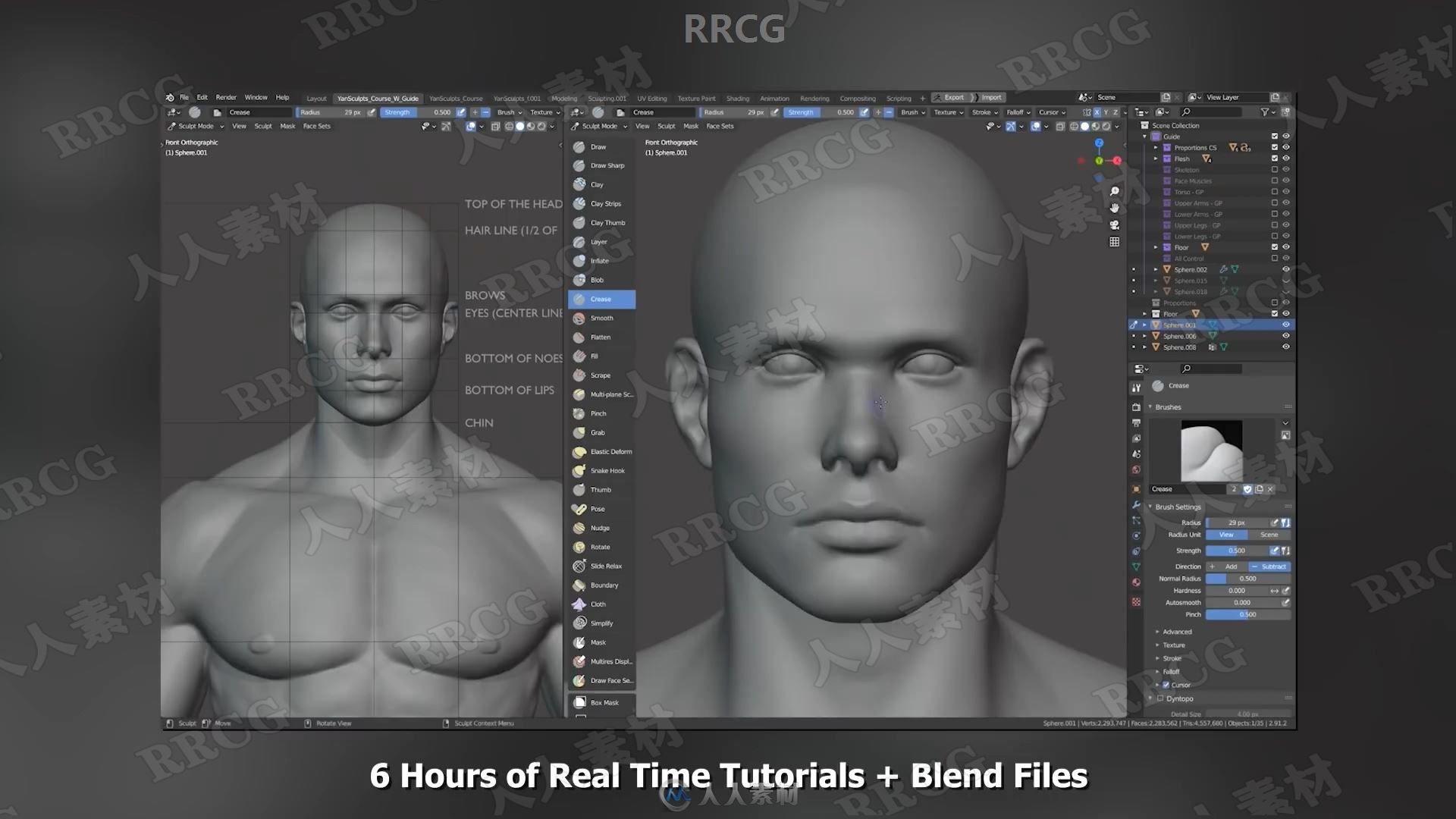 Blender男性人体解剖形态全身造型雕刻技术视频教程