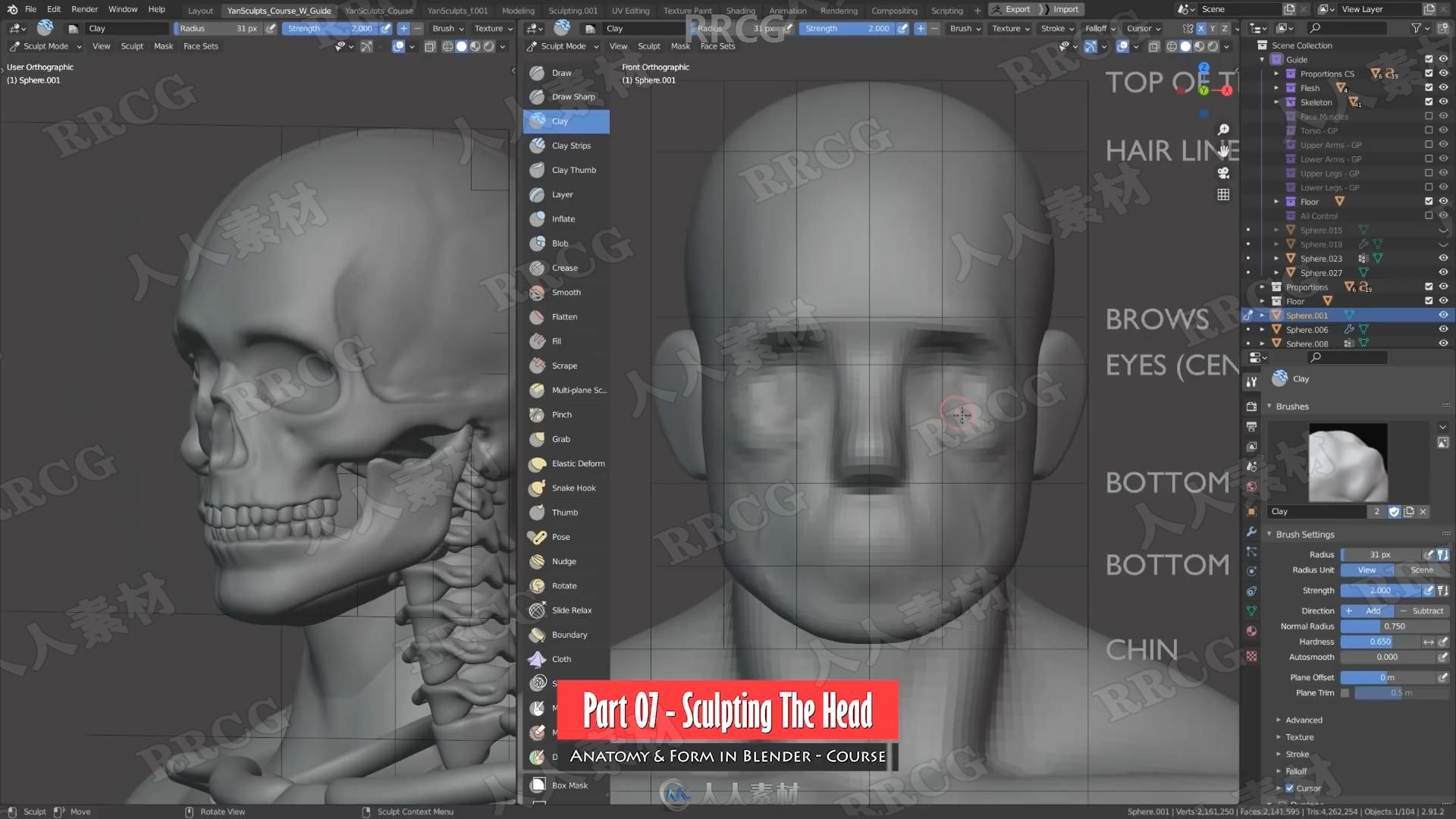 Blender男性人体解剖形态全身造型雕刻技术视频教程