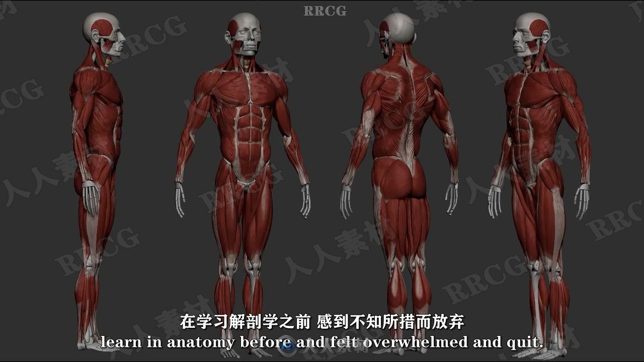 【中文字幕】Zbrush男性动作解剖学雕刻大师级完整训练视频教