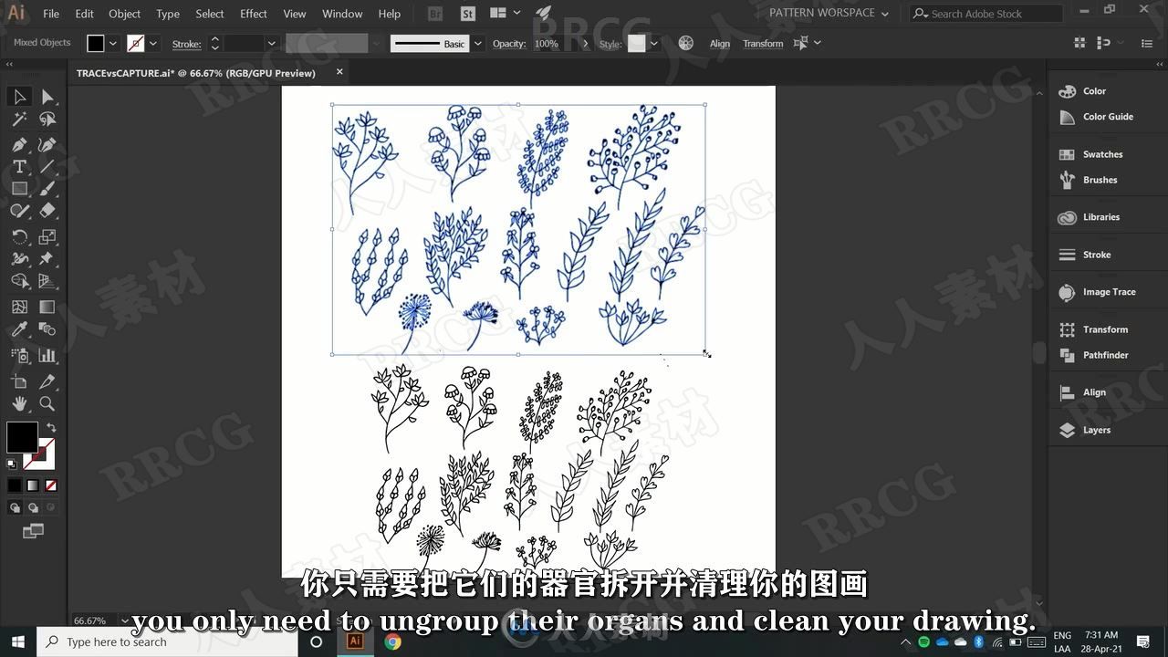 【中文字幕】AI初学者花卉植物重复图案平面插图设计视频教程