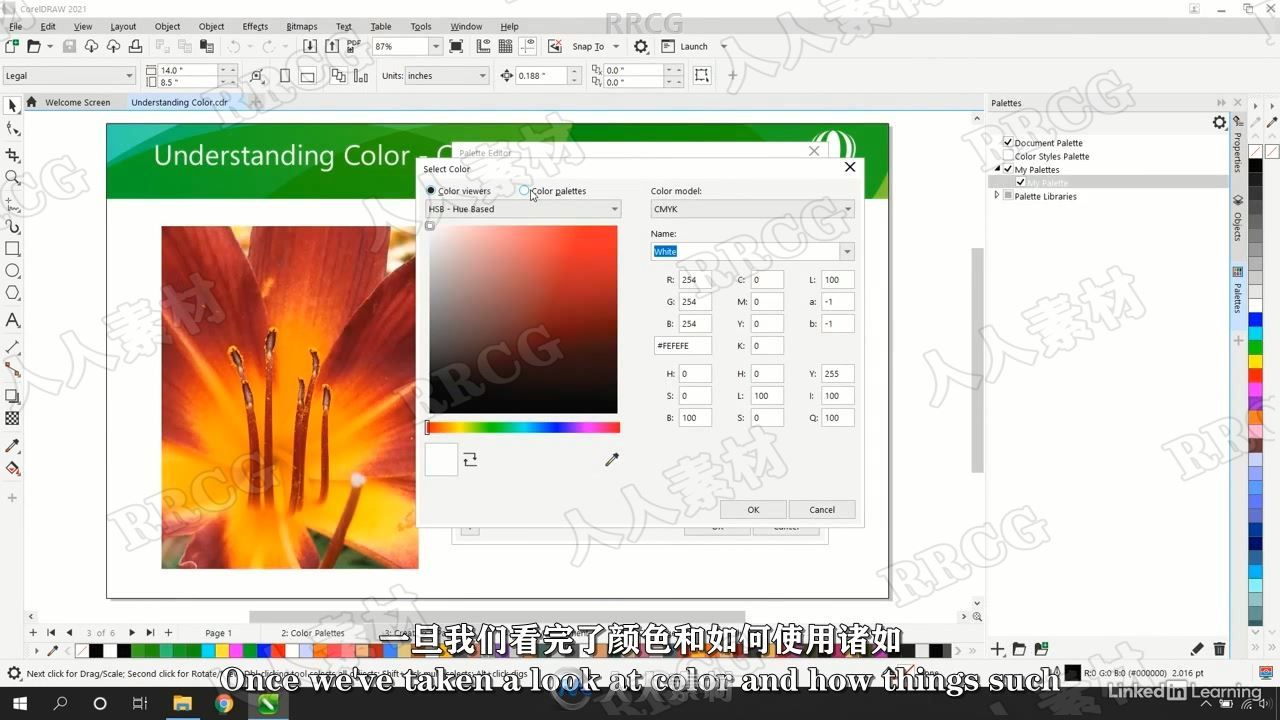 【中文字幕】CorelDraw 2021全面核心技术训练视频教程