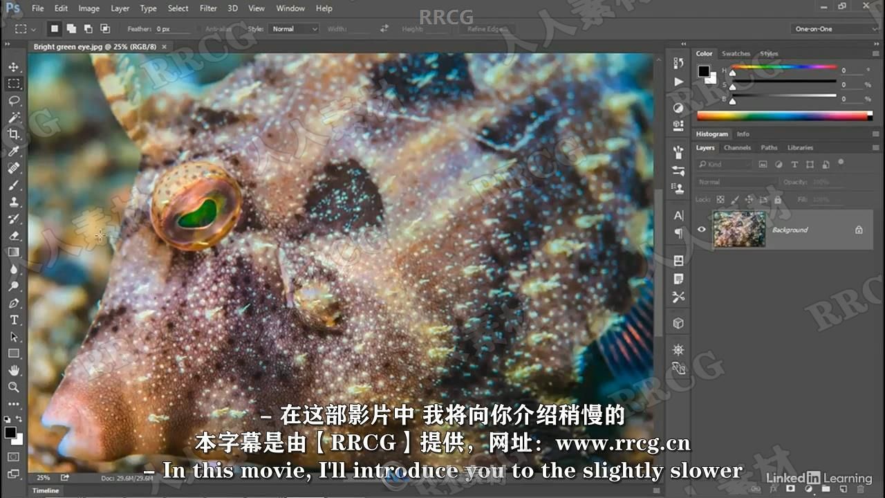 【中文字幕】Photoshop 2021一对一高级技能训练视频教程