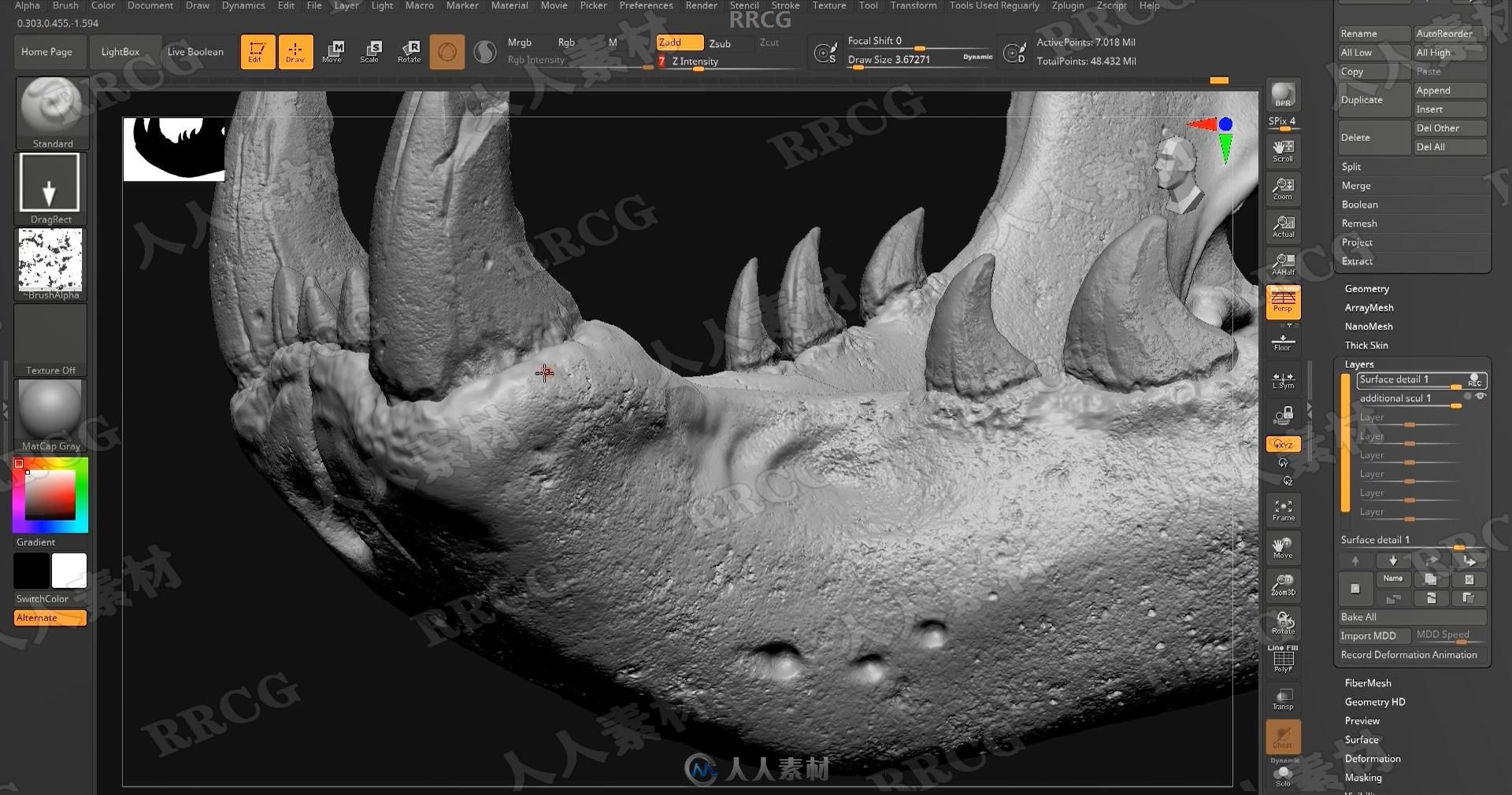 Zbrush奇美拉动物骨架数字雕刻实例训练视频教程