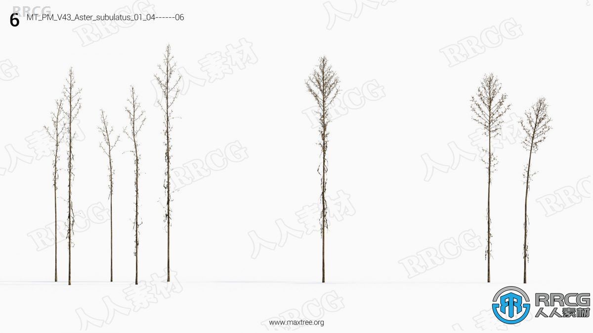 12种高质枯草类草木植物3D模型合集