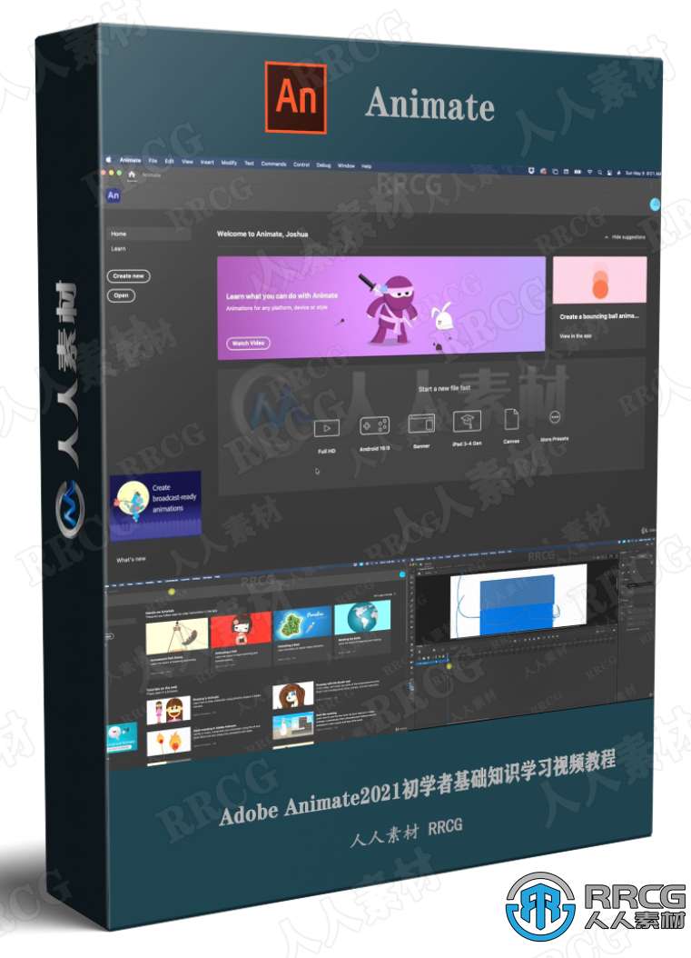 Adobe Animate2021初学者基础知识学习视频教程