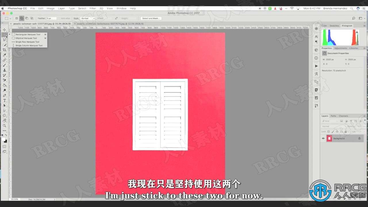 【中文字幕】PS使用选择工具背景去除技巧视频教程