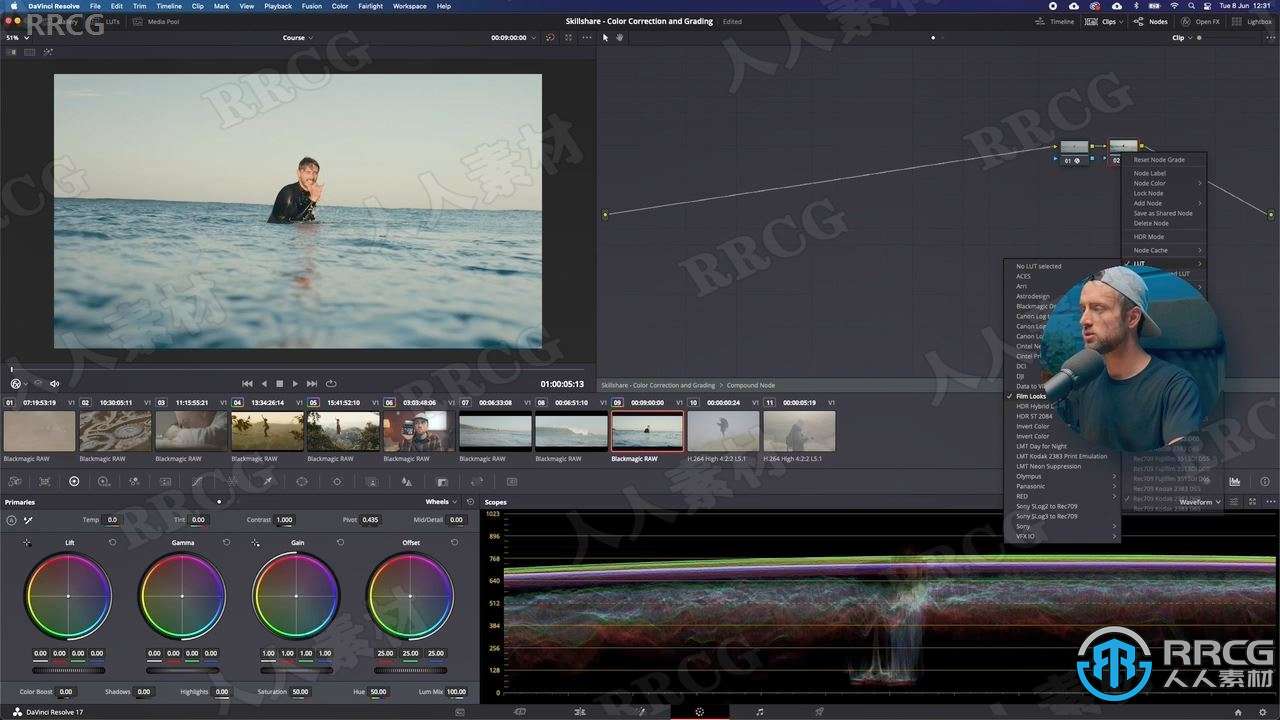 【中文字幕】DaVinci Resolve 17色彩校正与调色技术训练视频教程