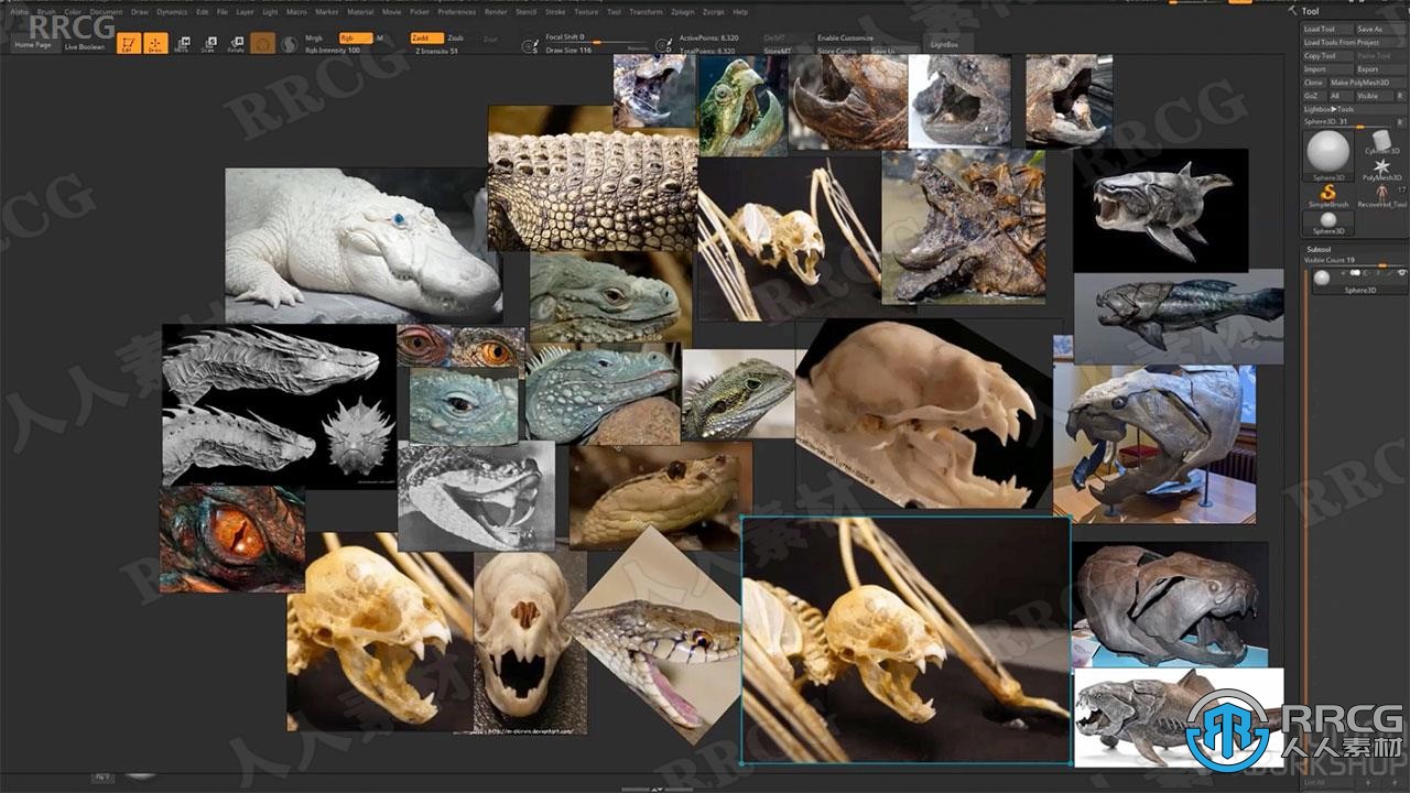 Zbrush超现实概念生物毒蛇龙完整制作流程视频教程
