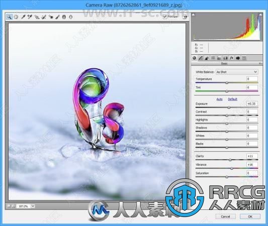 Adobe Camera Raw图像格式调整PS插件V13.4版