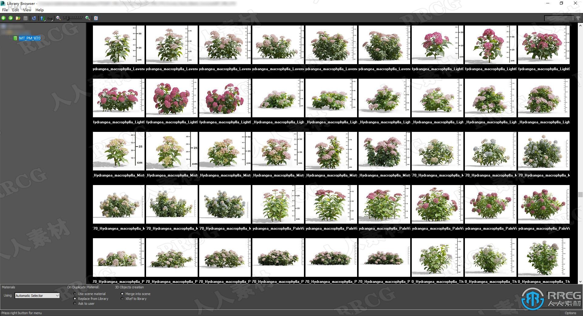 高质量绣球花麦穗花等草木植物3D模型合集