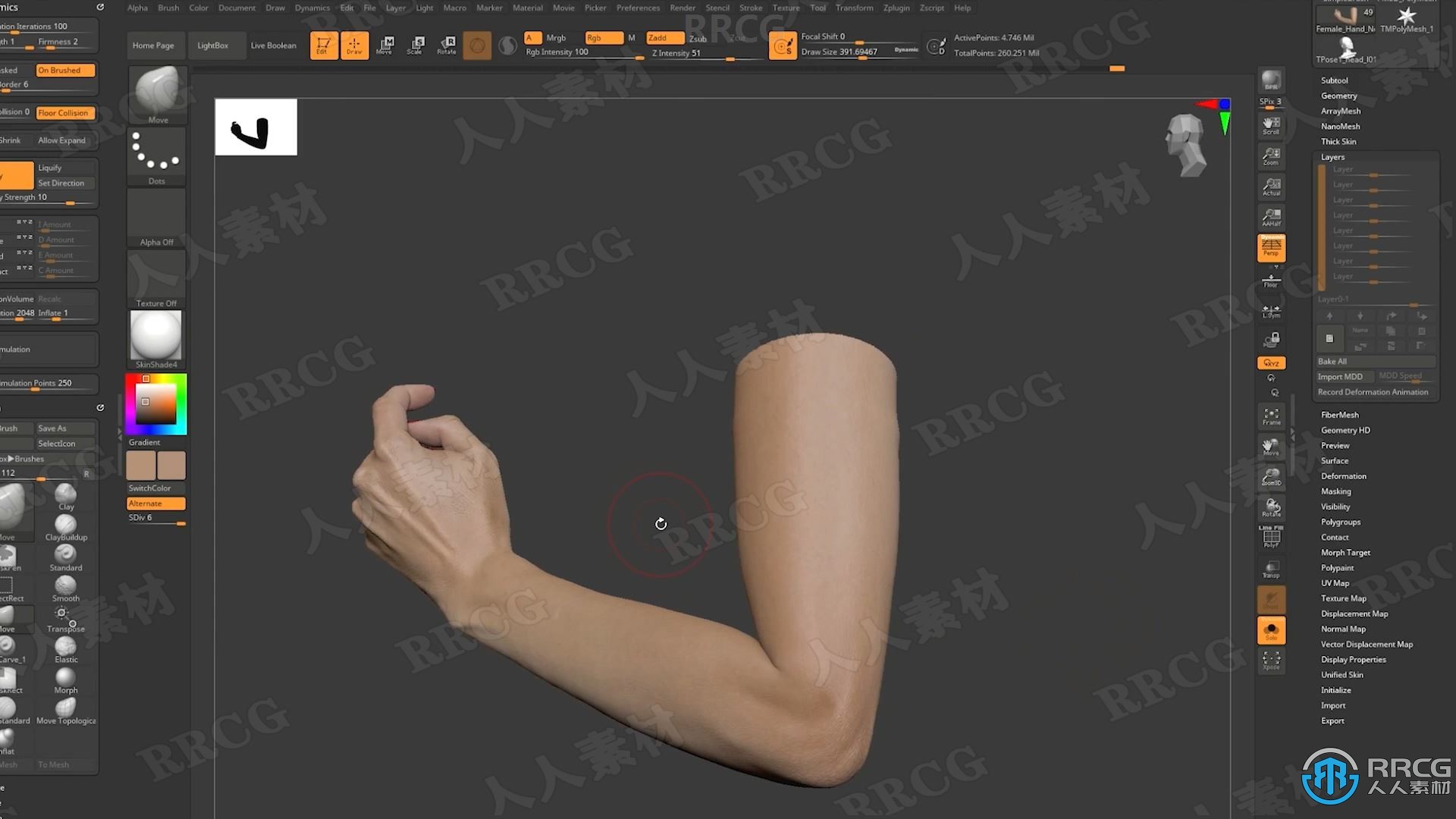 Zbrush逼真角色创建立体模型全流程视频教程