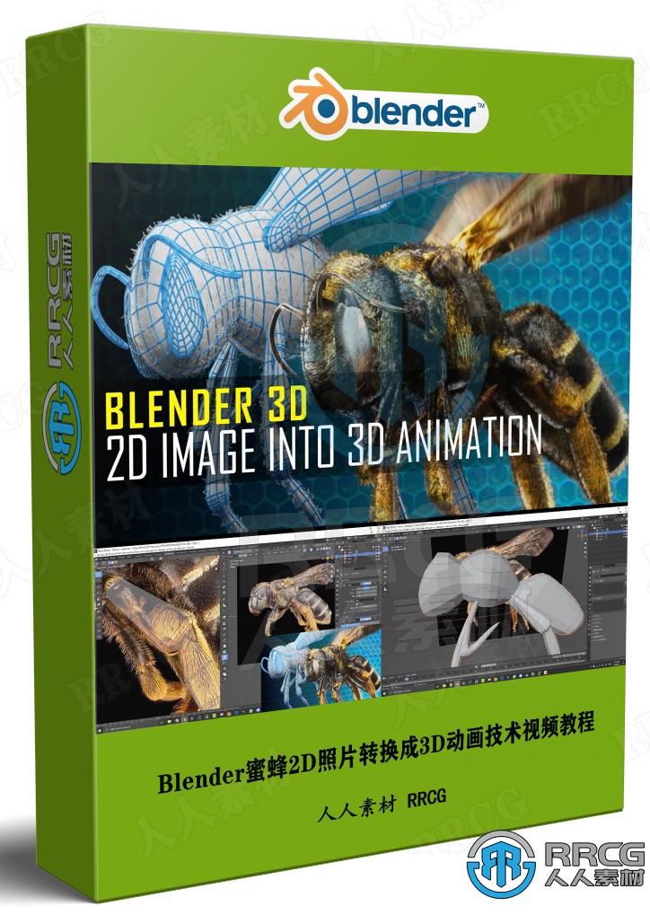 Blender蜜蜂2D照片转换成3D动画技术视频教程