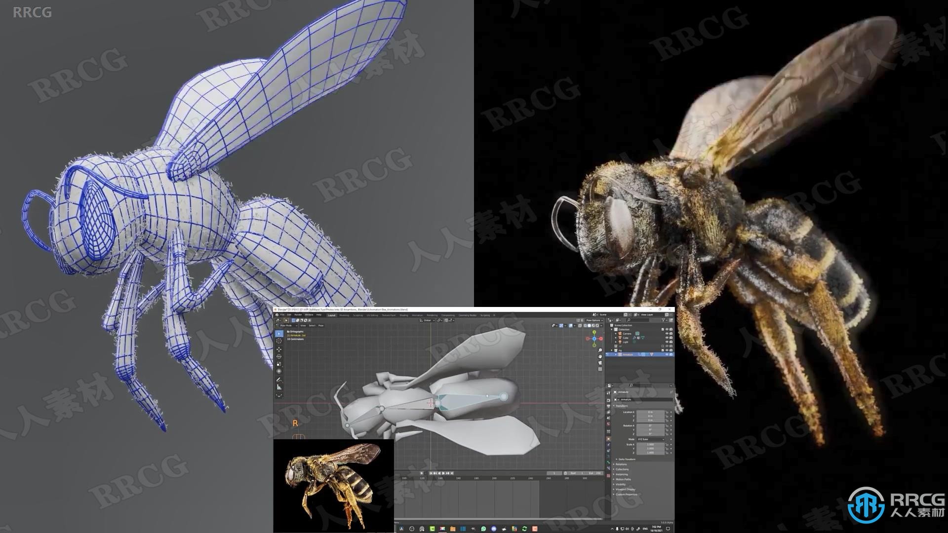 Blender蜜蜂2D照片转换成3D动画技术视频教程
