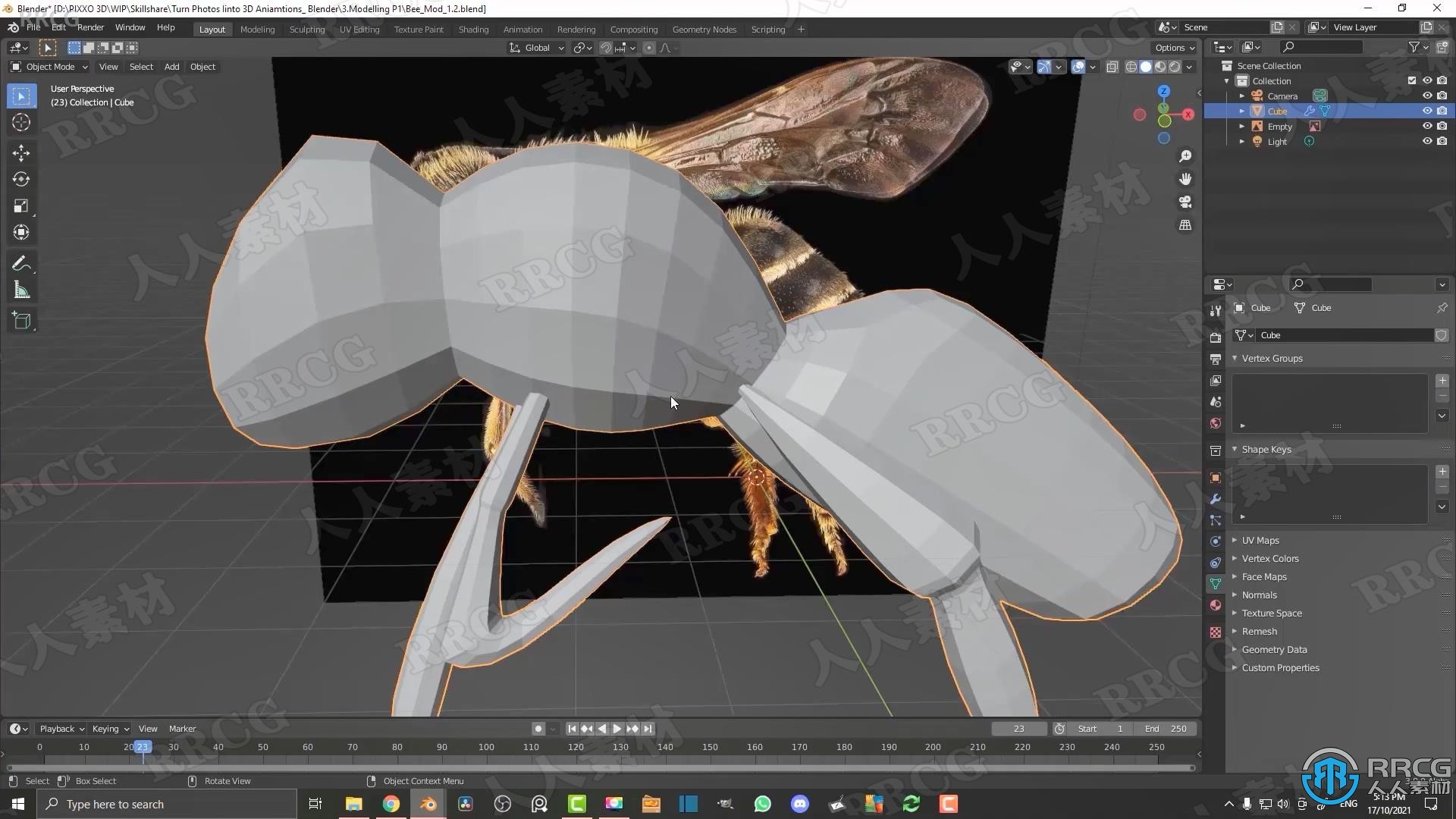 Blender蜜蜂2D照片转换成3D动画技术视频教程