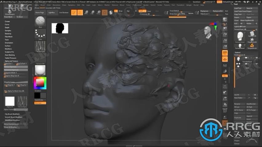 ZBrush数字雕刻和绘画软件V2022.0.6版