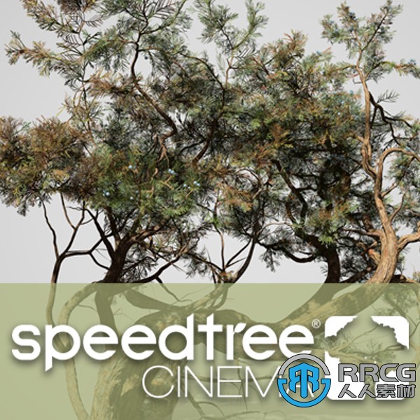 SpeedTree Modeler Cinema Edition树木植物实时建模软件V9.0.0版