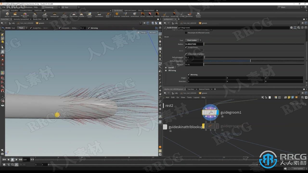 Houdini狮子毛发实例制作大师级视频教程