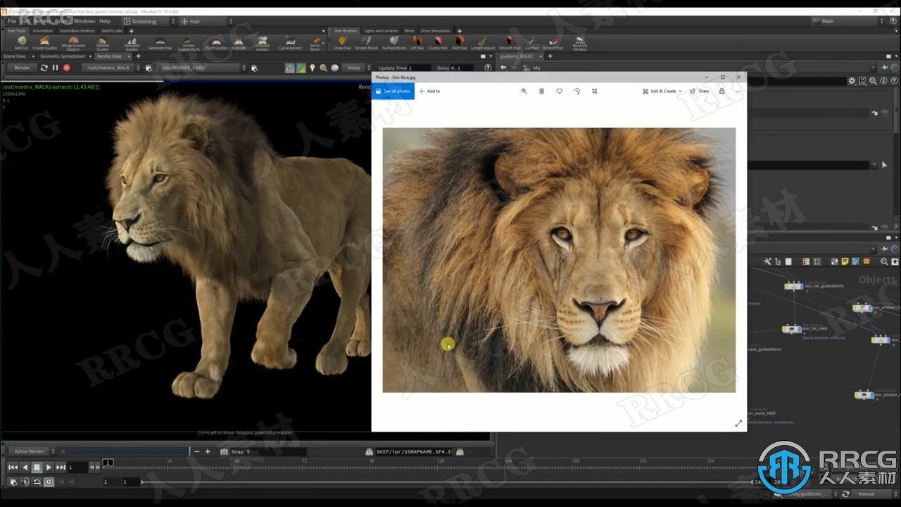 Houdini狮子毛发实例制作大师级视频教程