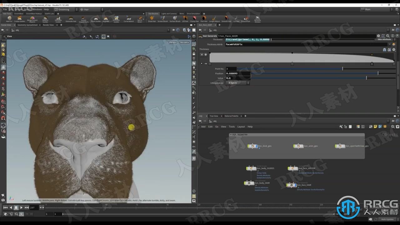 Houdini狮子毛发实例制作大师级视频教程