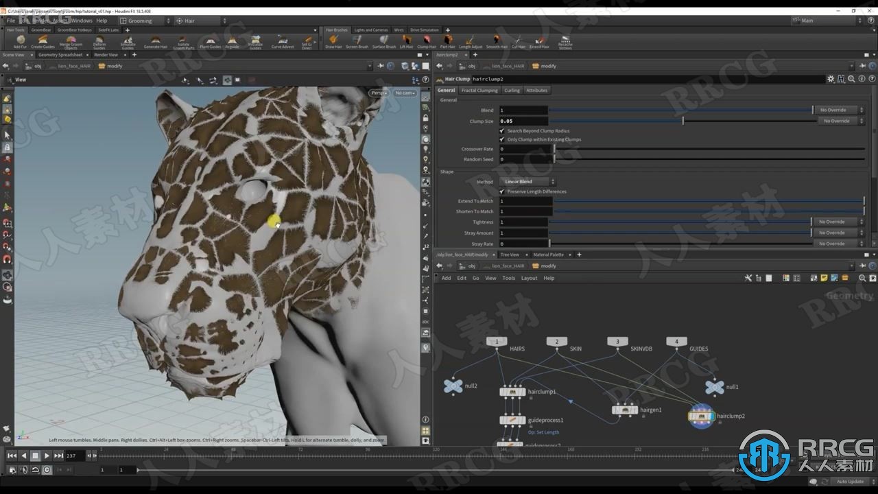 Houdini狮子毛发实例制作大师级视频教程