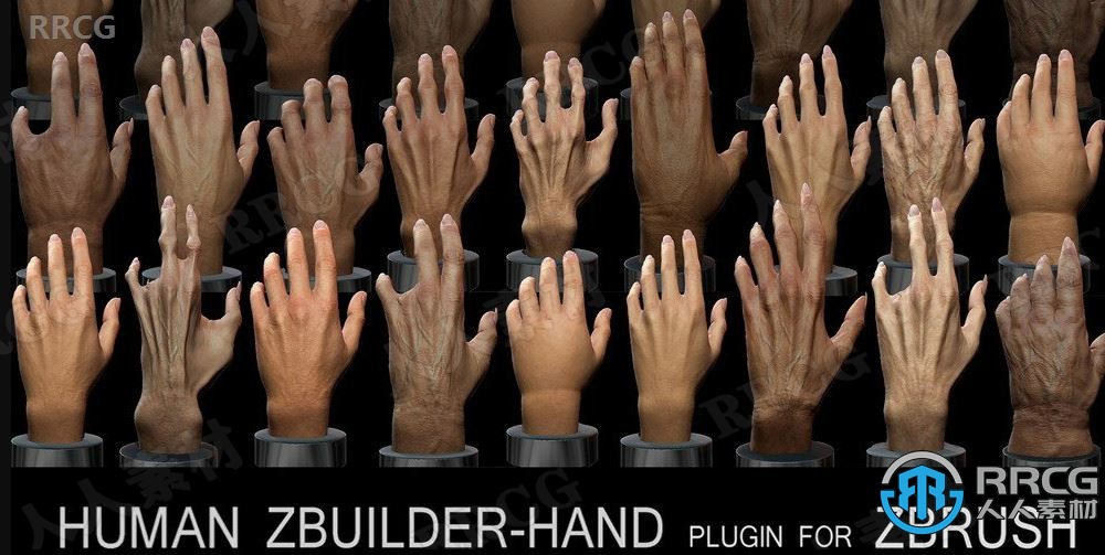 Human Zbuilder Hand人类手部模型制作工具Zbrush插件