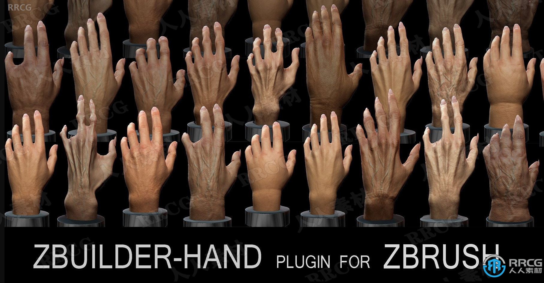 Human Zbuilder Hand人类手部模型制作工具Zbrush插件