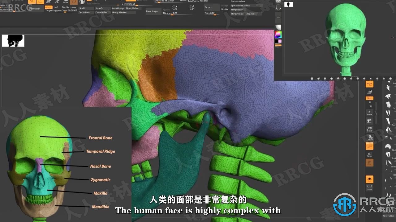 【中文字幕】Zbrush脸部面部雕刻建模全面训练视频教程