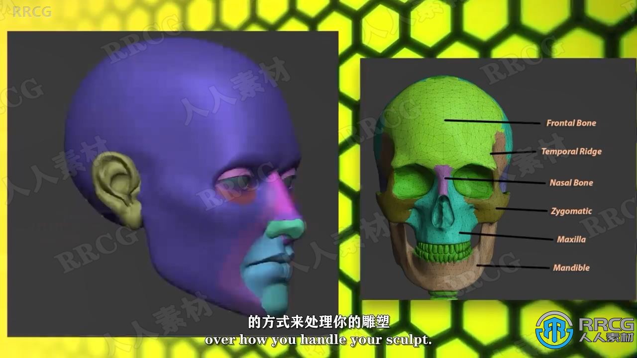 【中文字幕】Zbrush脸部面部雕刻建模全面训练视频教程