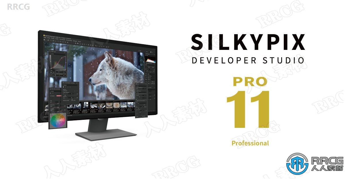 SILKYPIX Developer Studio Pro数码照片处理软件V11.1.3.2版