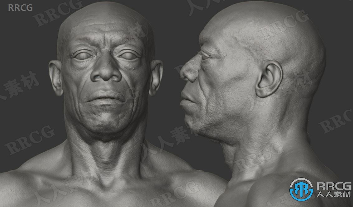 10组Zbrush超逼真男性女性角色身体扫描3D模型贴图合集