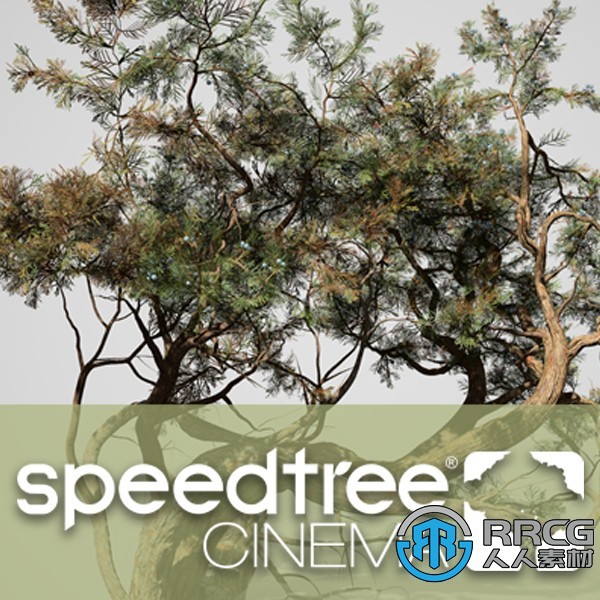 SpeedTree Modeler Cinema Edition树木植物实时建模软件V9.1.0版