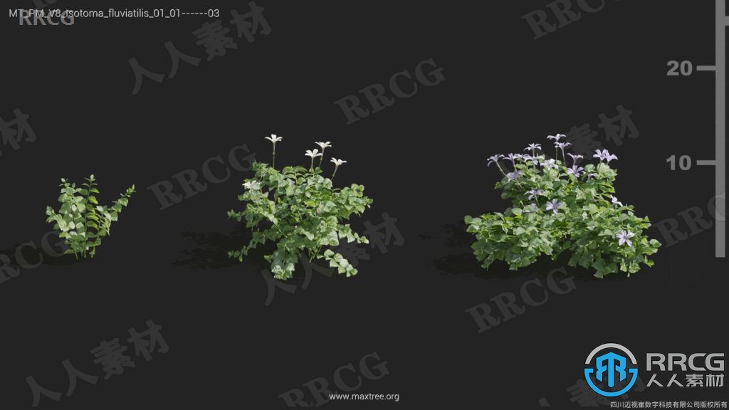 84组高品质栀子花天竺葵斑鸠菊等植物3D模型合集