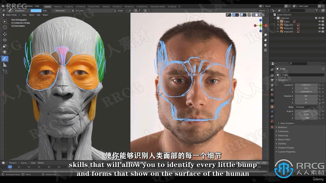 【中文字幕】Blender逼真肖像面部骨骼肌肉解剖学制作视频教程