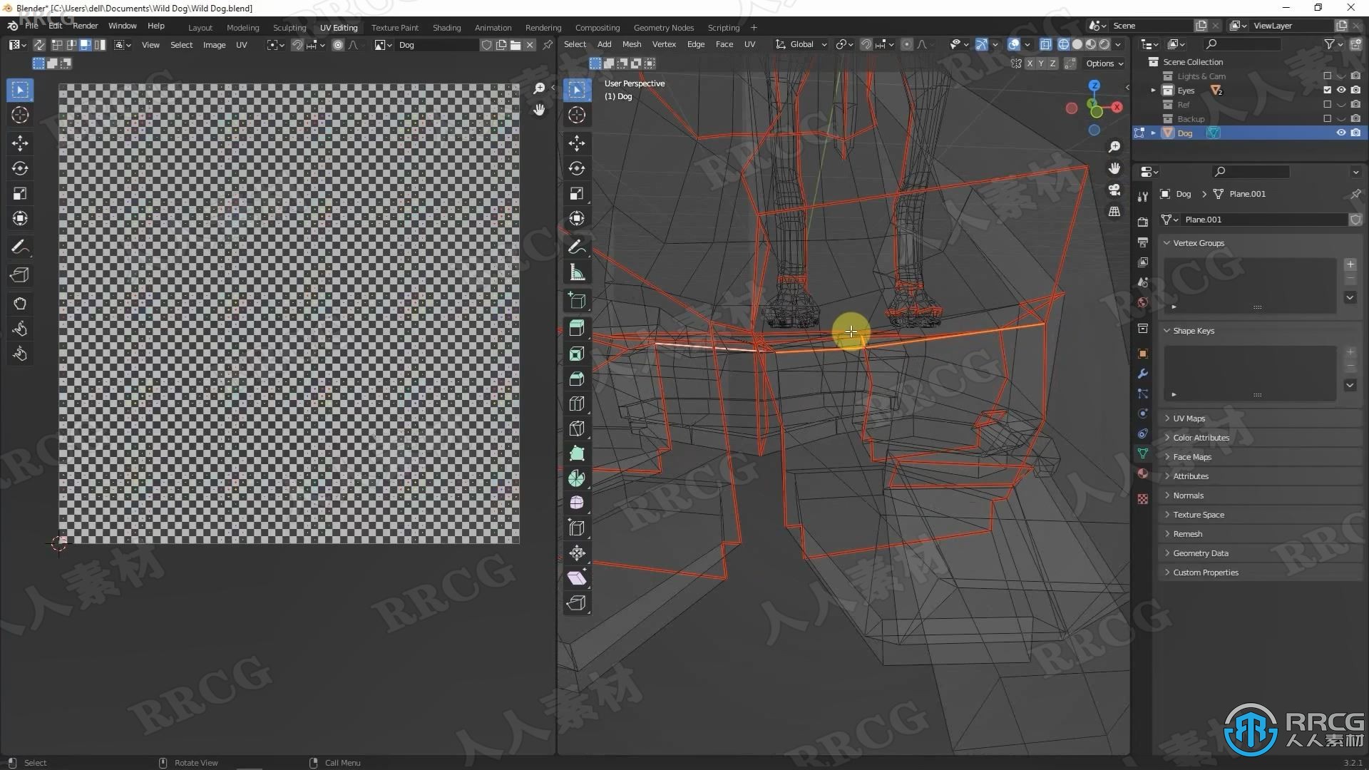 Blender非洲野狗逼真动物完整制作流程视频课程