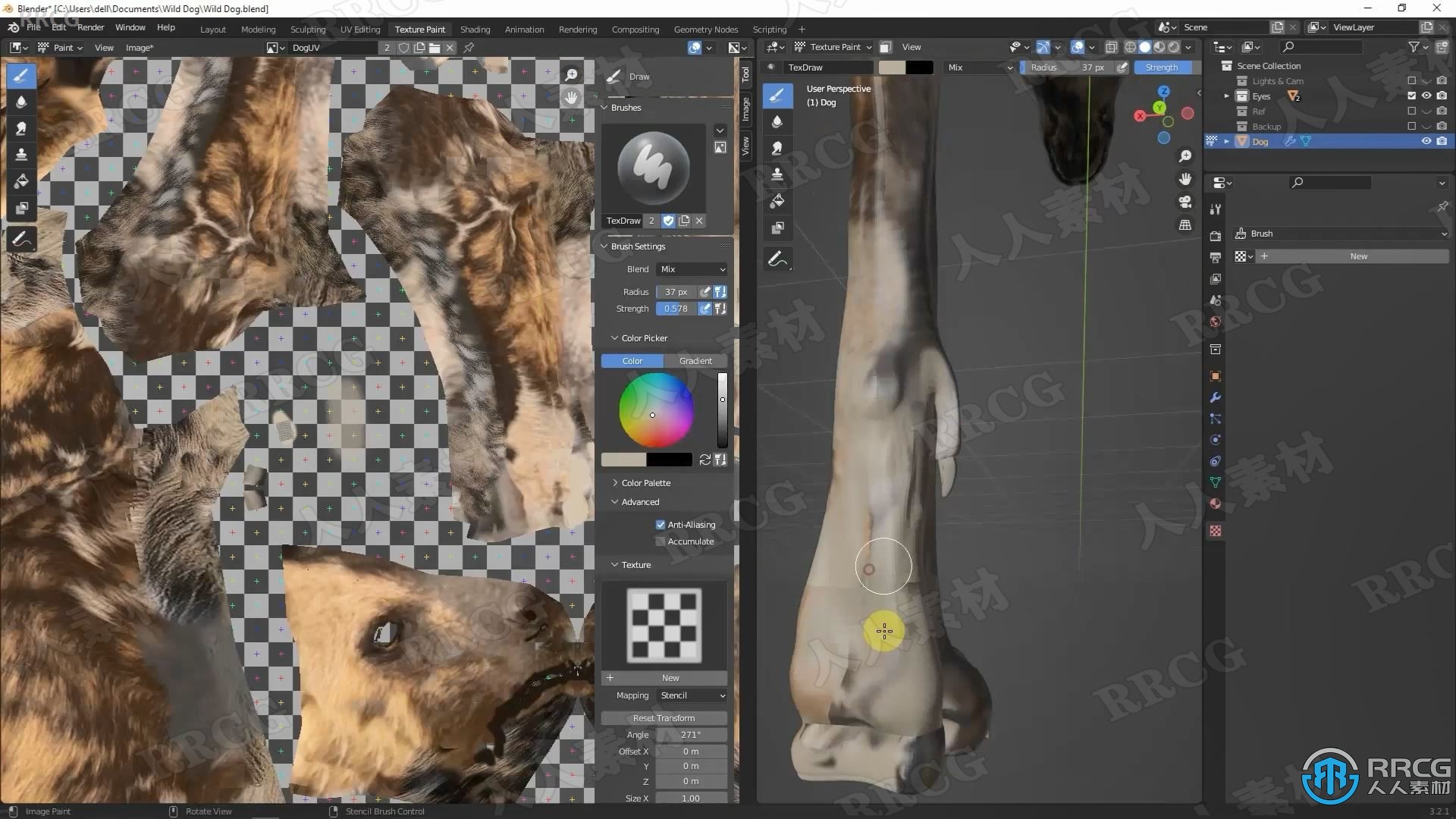 Blender非洲野狗逼真动物完整制作流程视频课程