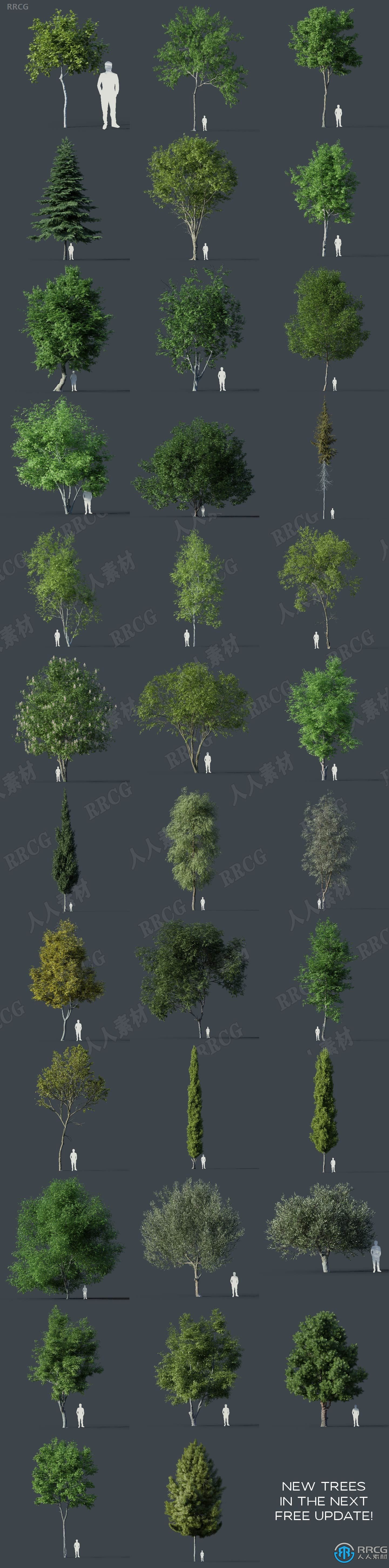 Forestation树木植物快速生成Blender插件V1版