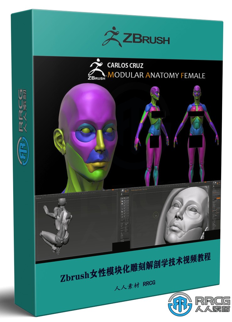 Zbrush女性模块化雕刻解剖学技术视频教程