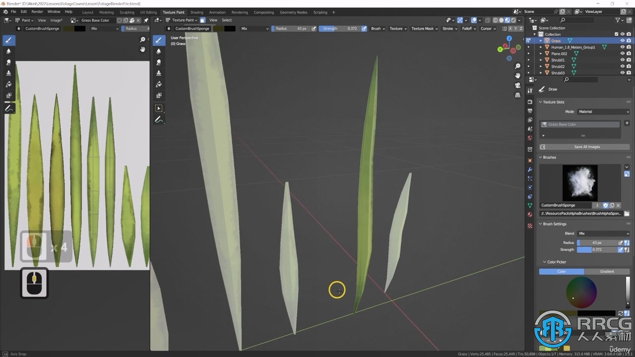 Blender与UE5制作3D植物和植被大师级视频教程