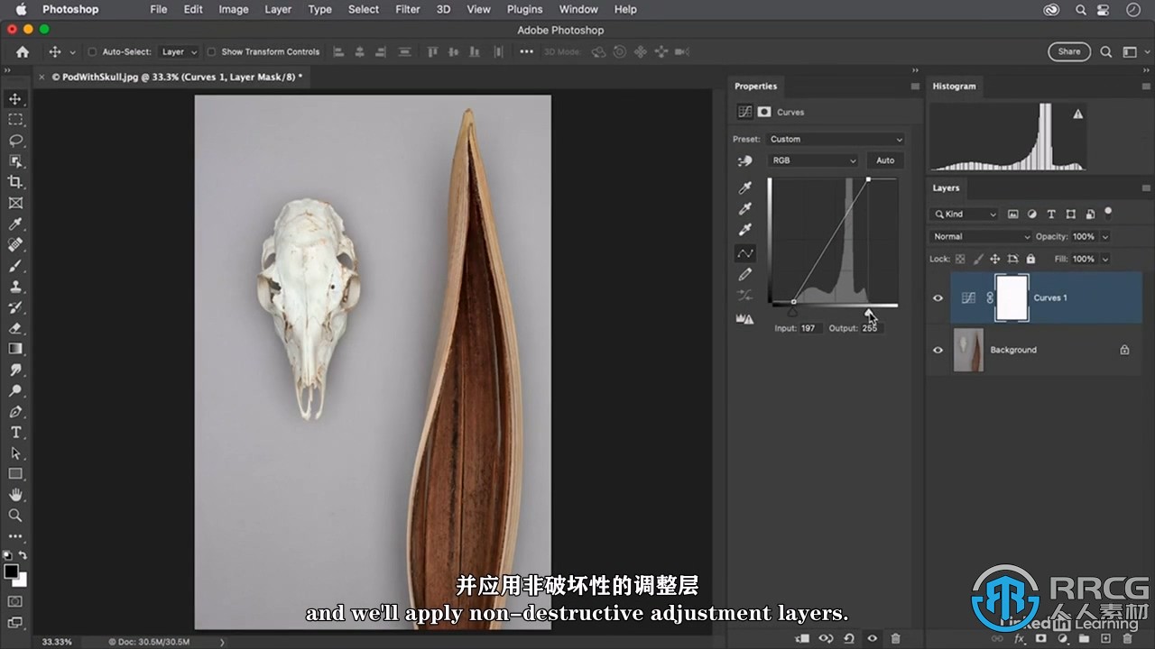 【中文字幕】Photoshop 2023全面核心技术训练视频教程